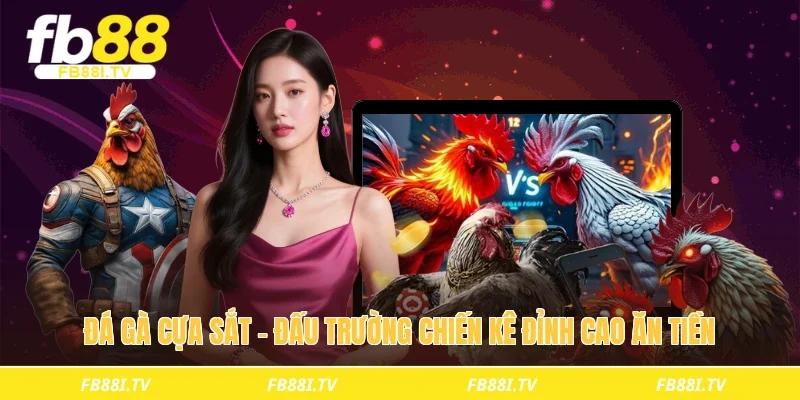 Đá gà cựa sắt - Đấu trường chiến kê đỉnh cao ăn tiền